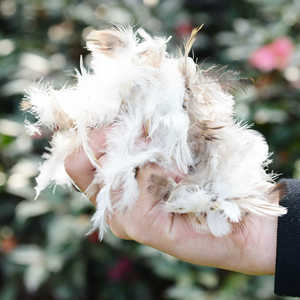 Ruột Gối Hình Vuông Lông Ngỗng Lông Vịt Thoải Mái Bằng Cotton Màu Trắng Bán Sỉ Kích Cỡ Tùy Chỉnh Ruột Gối Nhồi Bên Trong Cho Khách Sạn Gia Đình - Product Image 2