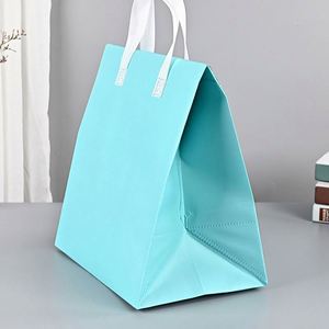 Bolsa Térmica Aislante de Tela No Tejida Reutilizable Ecológica de Alta Calidad con Asa, Venta al por Mayor - Product Image 6