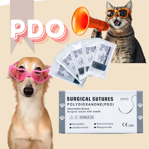 Suturas Quirúrgicas Veterinarias Recubiertas de PGA/PDO/seda/nailon/catgut/PGLA/<span class=keywords><strong>PDS</strong></span>, Suturas de Dioxanona - Product Image 2