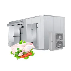 Hello River Brand Beef Deep Freezer Cold Room Sea Food Products Fish Cold Room Storage Meat Walk in Refrigerator Container Swing