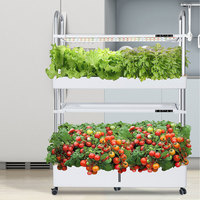 Kit de jardin hydroponique d'intérieur, éclairage LED intelligent pour plantes, jardinière pour cuisine, équipement d'irrigation et d'hydroponie, jardinière d'intérieur