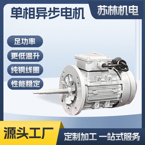 Motor Monofásico Dingyi YY6312 220V Eje Largo para Bomba de Vacío y Equipos Mecánicos - Product Image 5