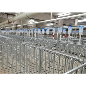 Precio al por mayor Jaula de gestación de cerdo Cómoda con superficie lisa Fácil de limpiar Nueva condición para granja de cerdos - Product Image 5