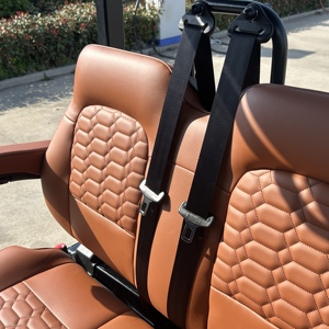 중국산 도로 주행 가능 골프 카트 리프트업 원격 제어 럭셔리 골프 카트 - Product Image 2