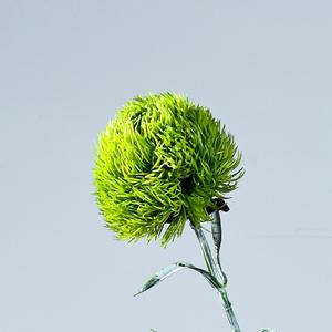 Fleurs artificielles en PVC souple Mengjie Handicrafts, œillets verts, 30cm-100cm, pour décoration intérieure et accessoires de mariage - Product Image 4