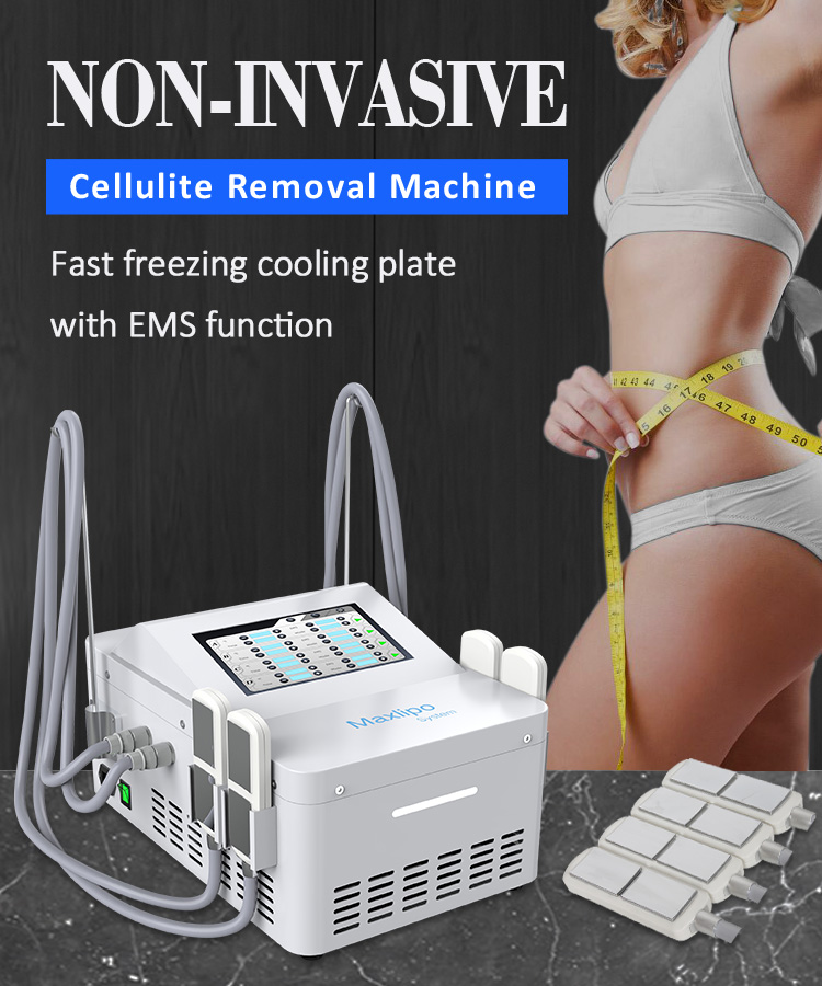 Portable Cryotherapy cooling ems pads, 4 cryolipolysis ems plate freezing slimming machine LF-272