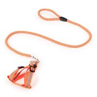 Correa para Perros y Gatos Ajustable, de 1.2m, Colorida, Reflectante, de Lujo, Suave, Duradera, Ecológica, de Plástico Oxford, para Exteriores, Venta al Por Mayor Personalizada