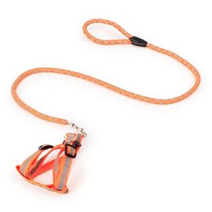 Correas para Mascotas de Nailon 100% Personalizadas al por Mayor, de 1.2m, Coloridas, Reflectantes, de Lujo, Suaves, Duraderas, Simples, Ajustables, para Perros y Gatos, para Paseos al Aire Libre - Product Image 3