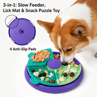 Gamelle anti-glouton pour animaux de compagnie, bol d'alimentation ludique pour chiens et chats, base antidérapante, PP de qualité alimentaire, léger, pliable, portable, ralentit la vitesse d'eating