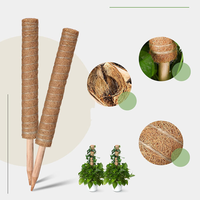 Poteaux en fibre de coco biodégradables brun naturel pour plantes grimpantes, support pour la maison et le jardin, taille réglable, poteau en mousse
