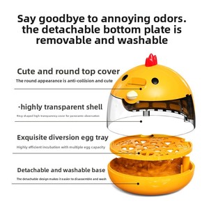 Incubator for Quail Parrot Chickens Small Household Science Education Automatic Temperature <b>Control</b> Manual Egg Turning - Product Image 4
