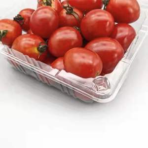 Tek kullanımlık şeffaf PET plastik 500g uzun meyve sebze kapaklı konteynerler/kutuları süpermarket için çilek Punnet ambalaj - Product Image 3