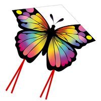 Nouvel Arrivage Cerf-volant Papillon à Ailes Volantes Couleur Personnalisée 100x70cm Matière Polyester Poignée de Vol de 50m Vente en Gros Marchandises Réceptives