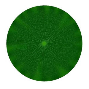 Alfombra Decorativa de Hojas de Loto Simuladas de Gardenia, Fabricada en PVC Moldeado por Inyección, Color Verde, para Decoración de Bodas y Hogar - Product Image 5