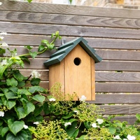 Nichoir pour oiseaux en bois, maison pour oiseaux sauvages