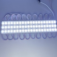 Module LED extérieur étanche IP65 de haute qualité DC 12V SMD2835 blanc 61x13mm 3 LED