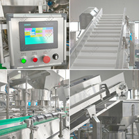 Ligne de production automatisée de remplissage et de scellement à la vapeur à haute productivité pour bocaux en verre de concombre LWT Electric PLC