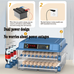 Incubadora Casera Pequeña de Doble Potencia con Pantalla de Temperatura y Humedad y Volteo Automático de Huevos. - Product Image 4