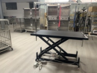 Table de toilettage électrique professionnelle pour animaux de compagnie, motorisée, hauteur réglable, station de toilettage pour chiens, surface antidérapante, portable, rose, de type bureau