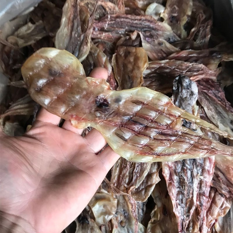 N19 Gan Zhang Yu, высококачественные свежие морепродукты, сушеные цельные осьминоги, натуральный сушеный Осьминог с водорослями для продажи