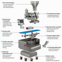 Machine à encroûter automatique multifonctionnelle, économique en main-d'œuvre, pour la préparation uniforme de pains vapeur, samosas et gâteaux de lune, usage commercial