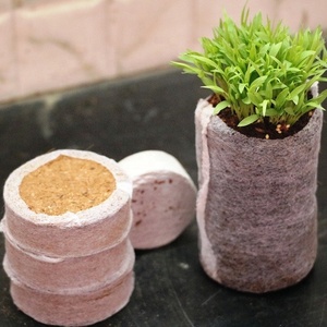 Dừa Than Bùn Hữu Cơ JIFFY Phích Cắm Xuất Khẩu/COCO Than Bùn Viên/COCO Đĩa - Product Image 4