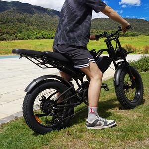 AU Market Leader 48V <span class=keywords><strong>Bicicleta</strong></span> <span class=keywords><strong>eléctrica</strong></span> 1000W Motor de alta potencia Suspensión dual Pantalla LCD 25 km/h Road Legal Design - Product Image 2