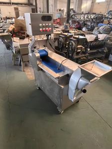 <span class=keywords><strong>Coupe</strong></span>-légumes professionnel multifonctionnel pour la transformation alimentaire industrielle, haute capacité, fonctionnement automatique - Product Image 2