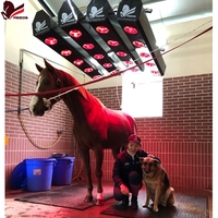 Solarium pour chevaux à 3 ou 4 rangées, chauffage pour bain de chevaux