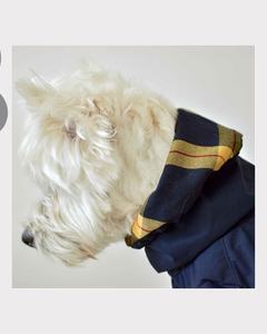 Qiqu-Chaqueta Schnauzer pequeña personalizada, abrigo para perro, gabardina con viento, sudaderas con capucha, chalecos impermeables, chaquetas Westie, suministros para mascotas, nuevo diseñador - Product Image 3