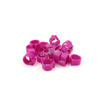Bague de patte ouverte en plastique pour oiseaux : pinsons, canaris, pigeons