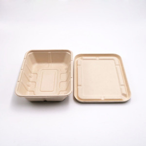 takeaway sugarcane bagasse food container