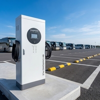 Nuevo Cargador Rápido de CC Comercial de 60kW 120kW 180kW 240kW con Doble Conector CCS2 GBT OCPP1.6 (Jason) IP54 380V con Control RFID para Vehículos Eléctricos