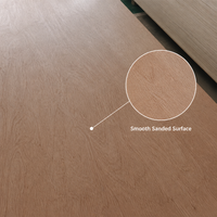 Portes en bois modernes de haute qualité en contreplaqué E1 Grade BB/CC 4x8FT personnalisables pour usage hôtelier