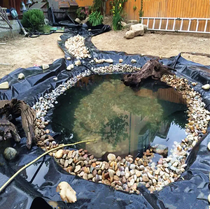 Fabricante de Geomembrana de HDPE, tanques de revestimiento para estanques de peces al aire libre, Geomembrana para cría de peces y camarones - Product Image 3