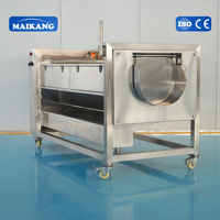 Voedselveilige borstelwas- en schilmachine met pomp, lage breukgraad voor kurkuma, bieten, yam, fruitreiniging en diepvriesgroenten