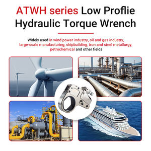 Proveedor profesional de herramientas hidráulicas 14ATWH-Series Llave dinamométrica hidráulica Perno de perfil bajo Herramienta de apriete Tuerca 50-117mm WREN - Product Image 5