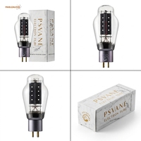 PSVANE 300B-PT Profesyonel Ev Hifi Ses Gitar Amfisi Valf Tüpleri Çin Malı