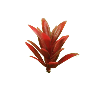 Flores y plantas de modelo Jiz, <span class=keywords><strong>agave</strong></span>, materiales de simulación de 2.0 cm para mesas de arena, para interiores y exteriores. - Product Image 2