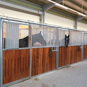 10ft 12ft 14ft Paardenstallen Buiten Kraam Dozen Fronten Deuren Verkoop Schuur Paardenstal Paneel - Product Image 3