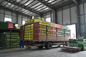 Shandong Pinguan-<span class=keywords><strong>pegamento</strong></span> adhesivo <span class=keywords><strong>para</strong></span> pulverización, respetuoso con el medio ambiente, salud verde, 18l/13KG - Product Image 6