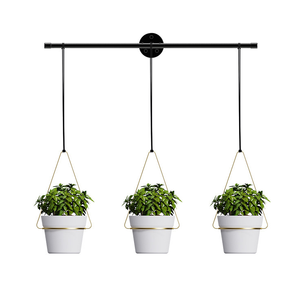 Indoor <strong>Herb</strong> Garden Hanging <strong>Planter</strong> 3-Piece <strong>Wall</strong>/Window Plant Hanger Flower Pots &amp; <strong>Planters</strong> for Indoor Use - Product Image 1