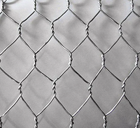Clôture de ferme Matériau de clôture de poulet en treillis métallique hexagonal pour ferme avicole Filet de maille Clôture de ferme bon marché
