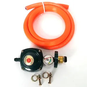 Válvula reguladora de presión de control americano repuestos cocina gas proveedor dorado diseño