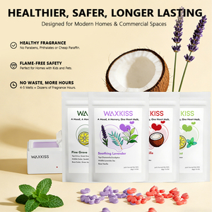 Cires parfumées sur mesure, service clé en main pour les marques, de la R&D au label privé, 50g ou capacité personnalisée - Product Image 2