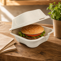 Boîte alimentaire à emporter en bagasse de canne à sucre, la plus vendue, robuste, écologique, personnalisable en usine, vente en gros