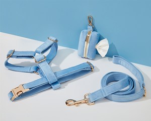 Skyblue Veet Dog And Leash Set, Personalizar Step In Puppy Harness + Collar + Bowtie + Poo Bag Holder, No Pull Wedding Harness Bundle - Product Image 5