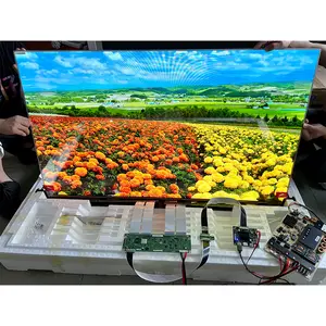 55-Inch Transparent OLED Display Ultra-Thin AMOLED Screen Touch 1920*1080 Resolution Intelligent Advertising Digit Specification