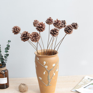 Otras flores y plantas decorativas Decoración DE BODA Last Foreverl Preserved Solgo Piñas Cono de pino real seco - Product Image 4