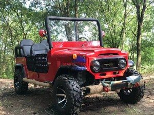 Venta de Motocicletas Todoterreno Mini para Niños Willys de 125cc, 4 Tiempos, 2WD, Automáticas, con Diseño Atractivo - Product Image 5